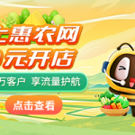 当归栽培管理:提高成活率和长势的关键环节