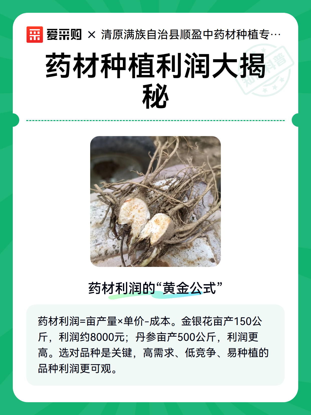 当归怎么种更稳？采收期判断、初加工和储存注意事项