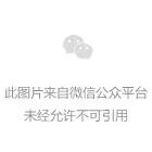 枸杞怎么种更稳？投入结构、产量影响因素与经营测算