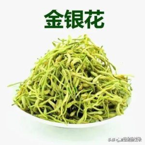 益母草怎么种更稳？水肥、除草和植株调控的操作思路