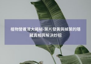 艾草怎么种更稳？水肥、除草和植株调控的操作思路