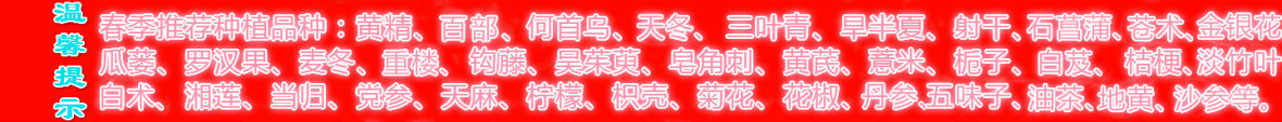 种植什么药材更稳妥？不要只看价格还要看适生性和销路