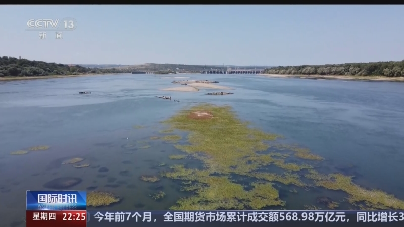 药材种植如何防止烂根？从选地排水到土壤管理逐项排查